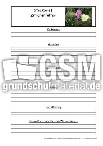 Zitronenfalter-Steckbriefvorlage.pdf